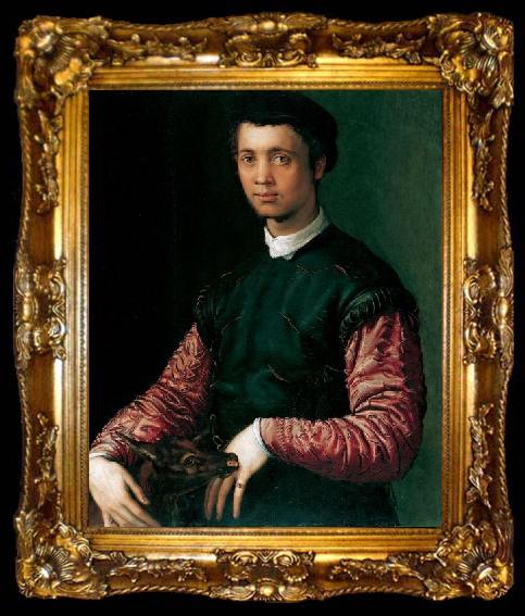 framed  Francesco Salviati Bildnis eines jungen Mannes, ta009-2
